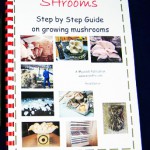 SHrooms Step by Step No17 edited